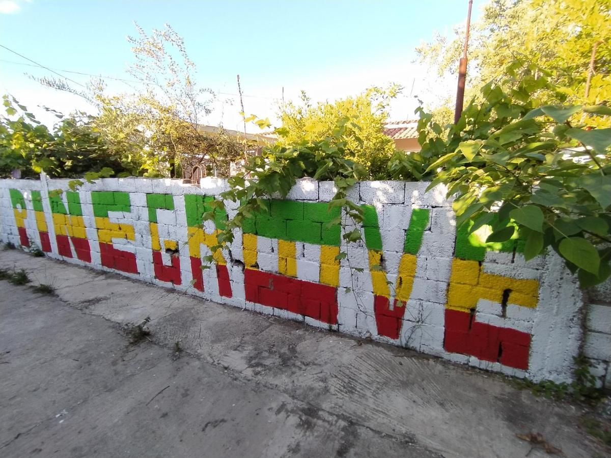 Pinegroove Hostel Vlora Kültér fotó