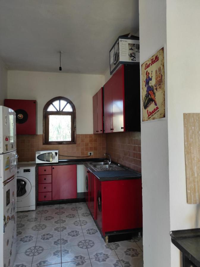 Pinegroove Hostel Vlora Kültér fotó