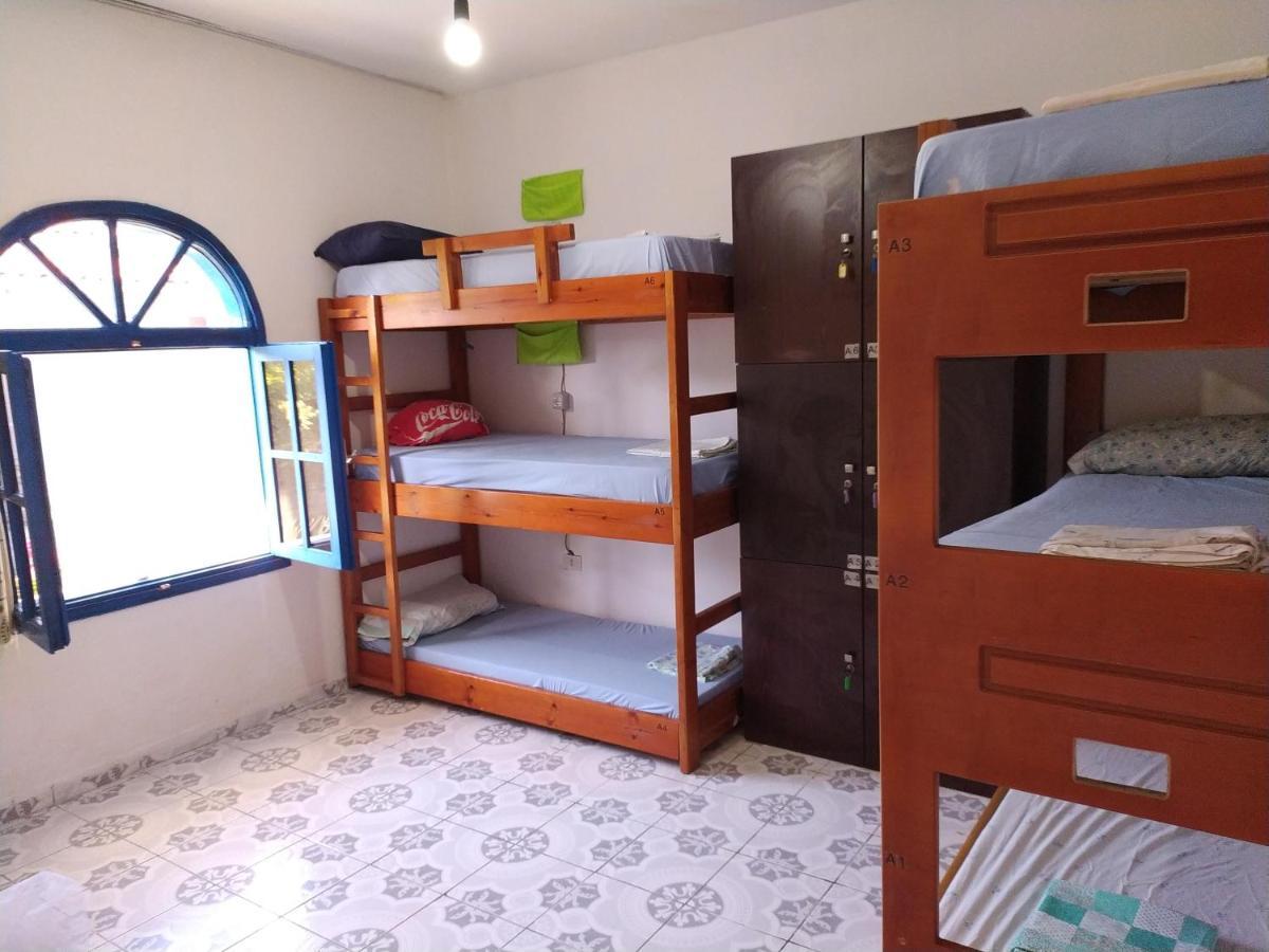 Pinegroove Hostel Vlora Kültér fotó