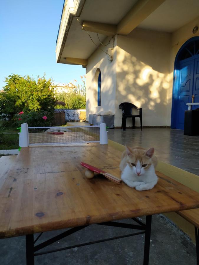 Pinegroove Hostel Vlora Kültér fotó