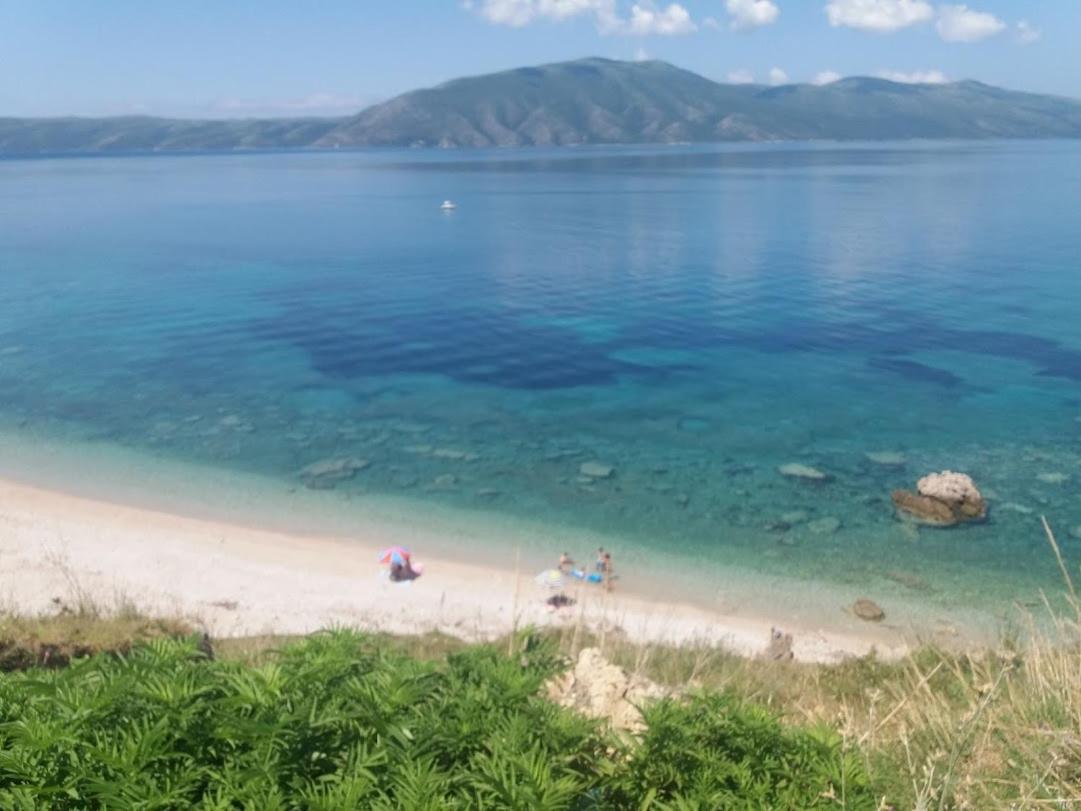 Pinegroove Hostel Vlora Kültér fotó