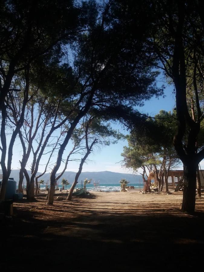 Pinegroove Hostel Vlora Kültér fotó