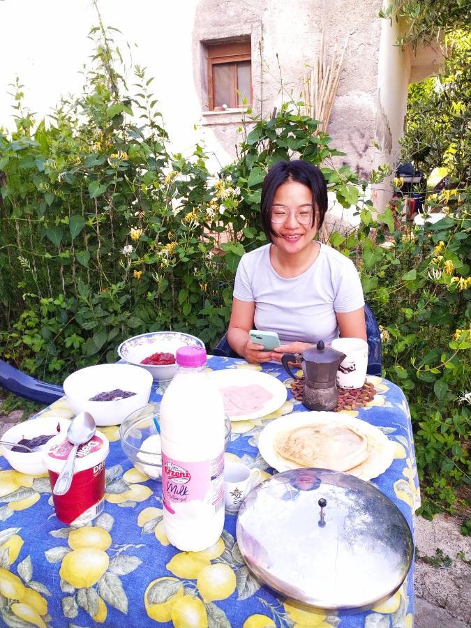 Pinegroove Hostel Vlora Kültér fotó