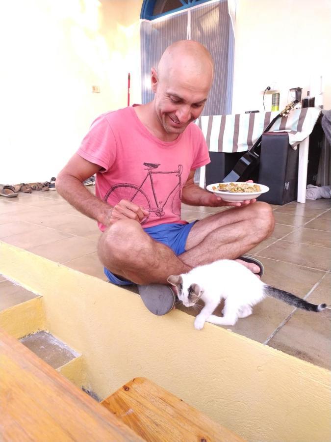 Pinegroove Hostel Vlora Kültér fotó
